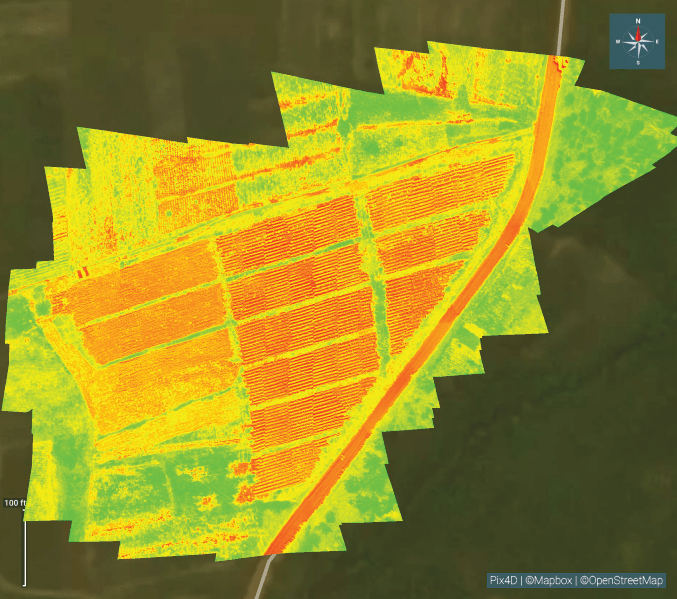 NDVI index map of the same fields