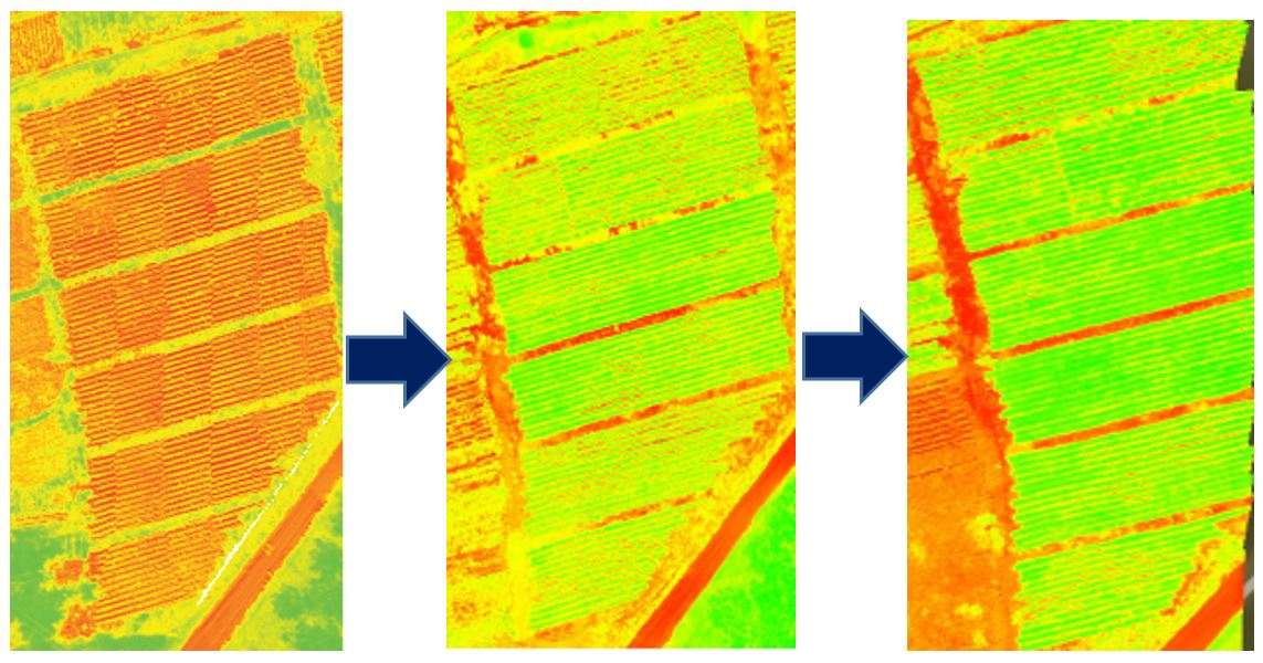 Temporal sequence of index maps of the demonstration plots showing progressive pineapple crop health status improvement in response to precision crop husbandry