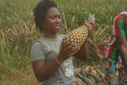 Oforiwaah Kukuwaa Smith harvesting Pineapples